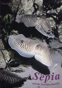 Cover: 9783831125340 | Sepia und die Tintenfischfamilie | Gerhard Ruster | Taschenbuch | 2001