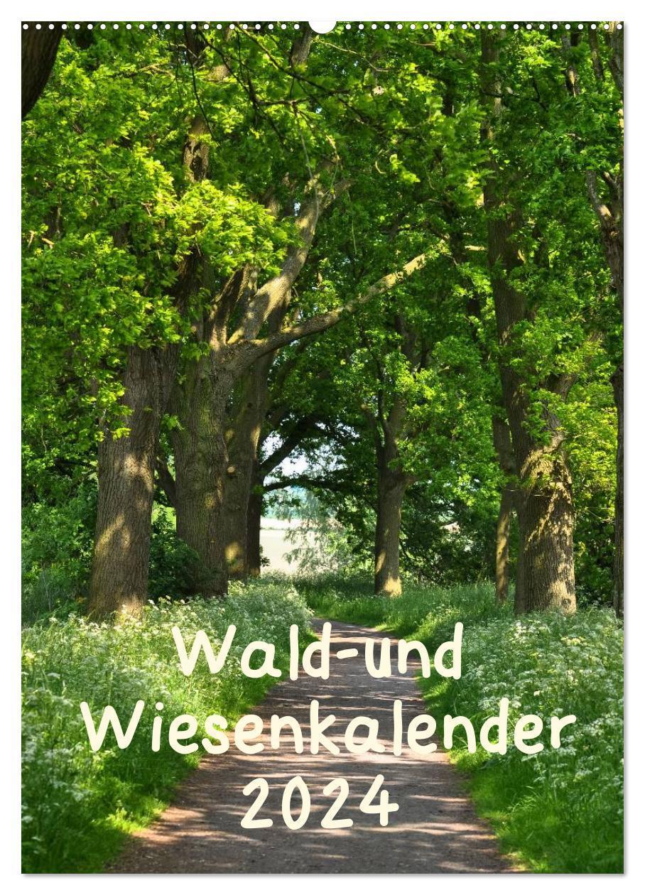 Cover: 9783383463136 | Wald- und Wiesenkalender 2024 Planer (Wandkalender 2024 DIN A2...