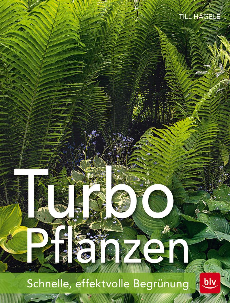 Cover: 9783835416291 | Turbo-Pflanzen | Schnelle, effektvolle Begrünung | Till Hägele | Buch