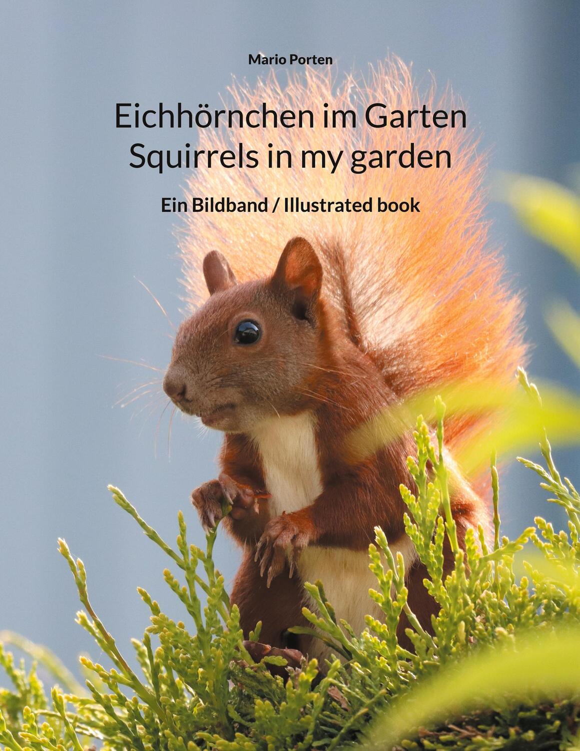 Cover: 9783754332481 | Eichhörnchen im Garten / Squirrels in my garden | Mario Porten | Buch