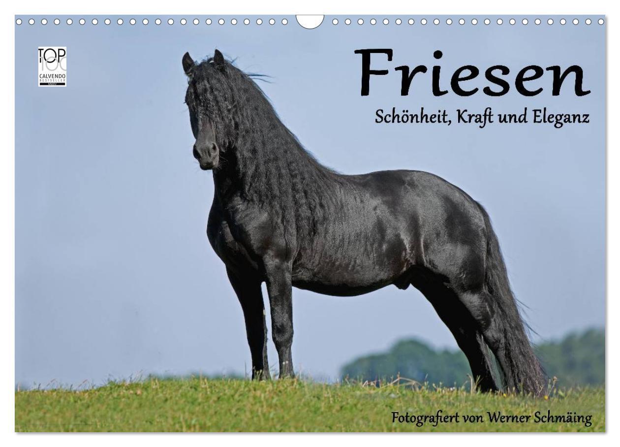 Cover: 9783675582187 | Friesen - Schönheit, Kraft und Eleganz (Wandkalender 2024 DIN A3...