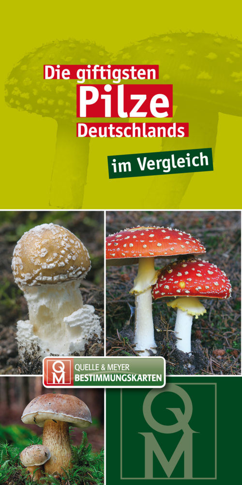 Cover: 9783494017358 | Die giftigsten Pilze Deutschlands im Vergleich | Buch | 8 S. | Deutsch