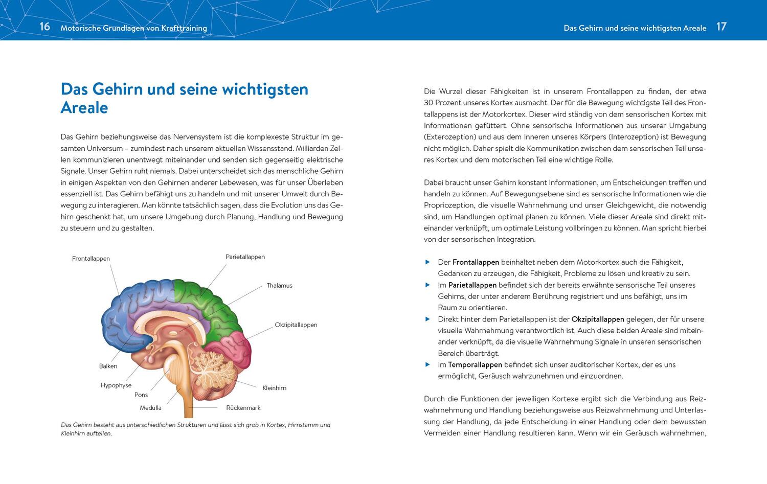 Bild: 9783742315496 | Das neue Krafttraining | Patrick Meinart | Taschenbuch | 288 S. | 2020