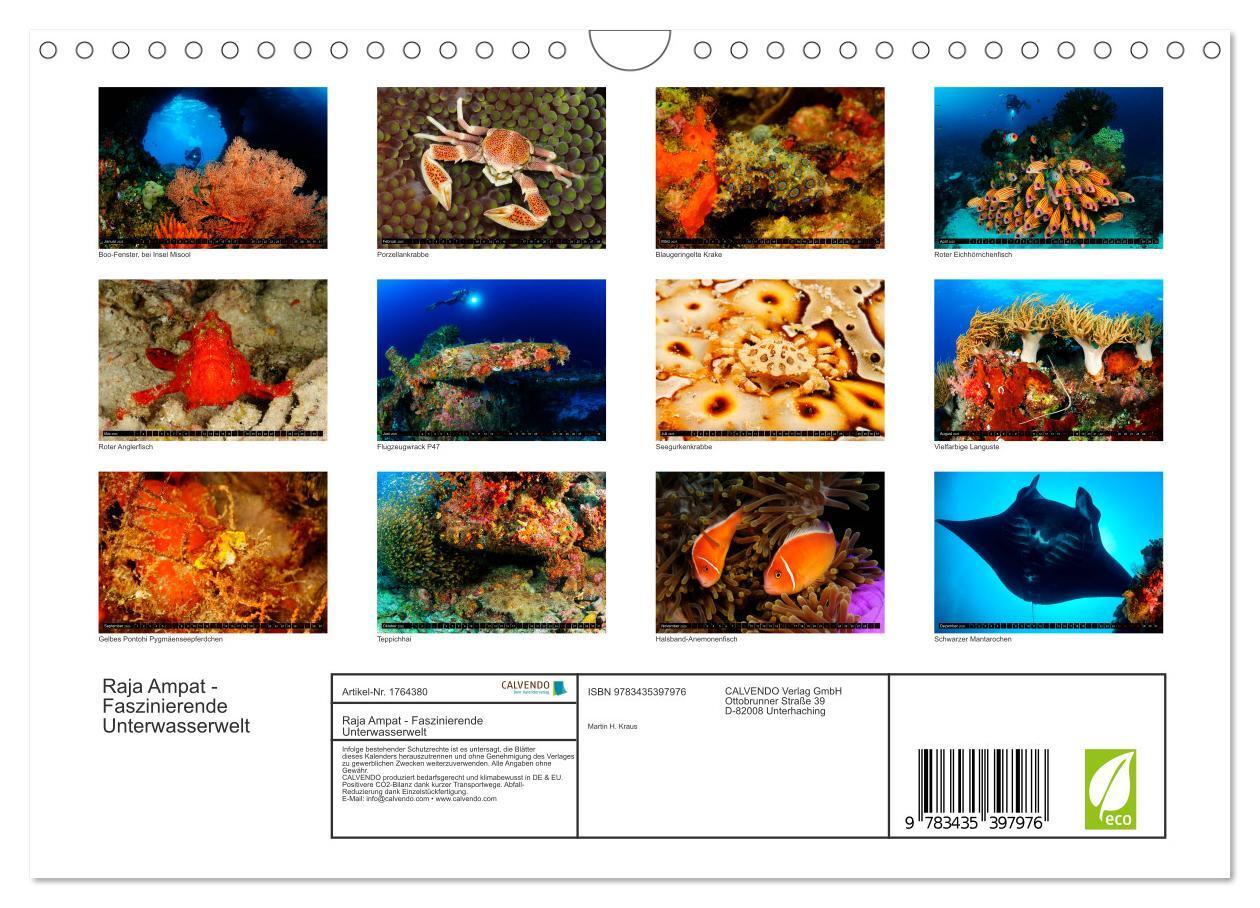 Bild: 9783435397976 | Raja Ampat - Faszinierende Unterwasserwelt (Wandkalender 2025 DIN...