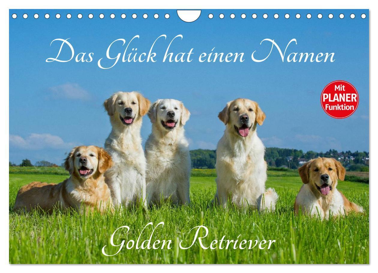 Cover: 9783383326653 | Das Glück hat einen Namen - Golden Retriever (Wandkalender 2024 DIN...