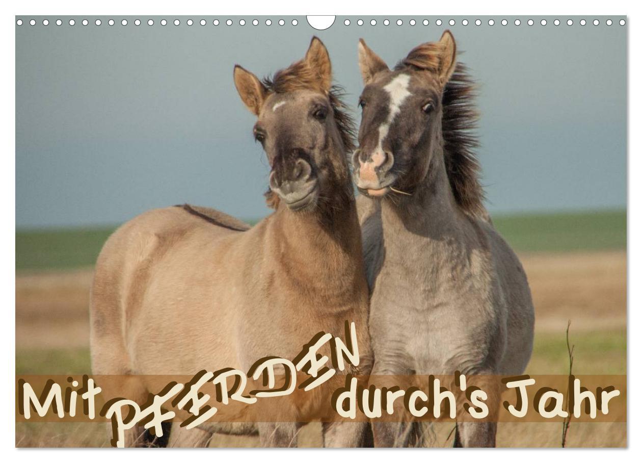 Cover: 9783435717293 | Mit Pferden durch´s Jahr (Wandkalender 2025 DIN A3 quer), CALVENDO...