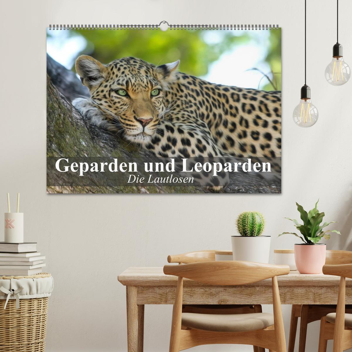 Bild: 9783435737727 | Die Lautlosen. Geparden und Leoparden (Wandkalender 2025 DIN A2...