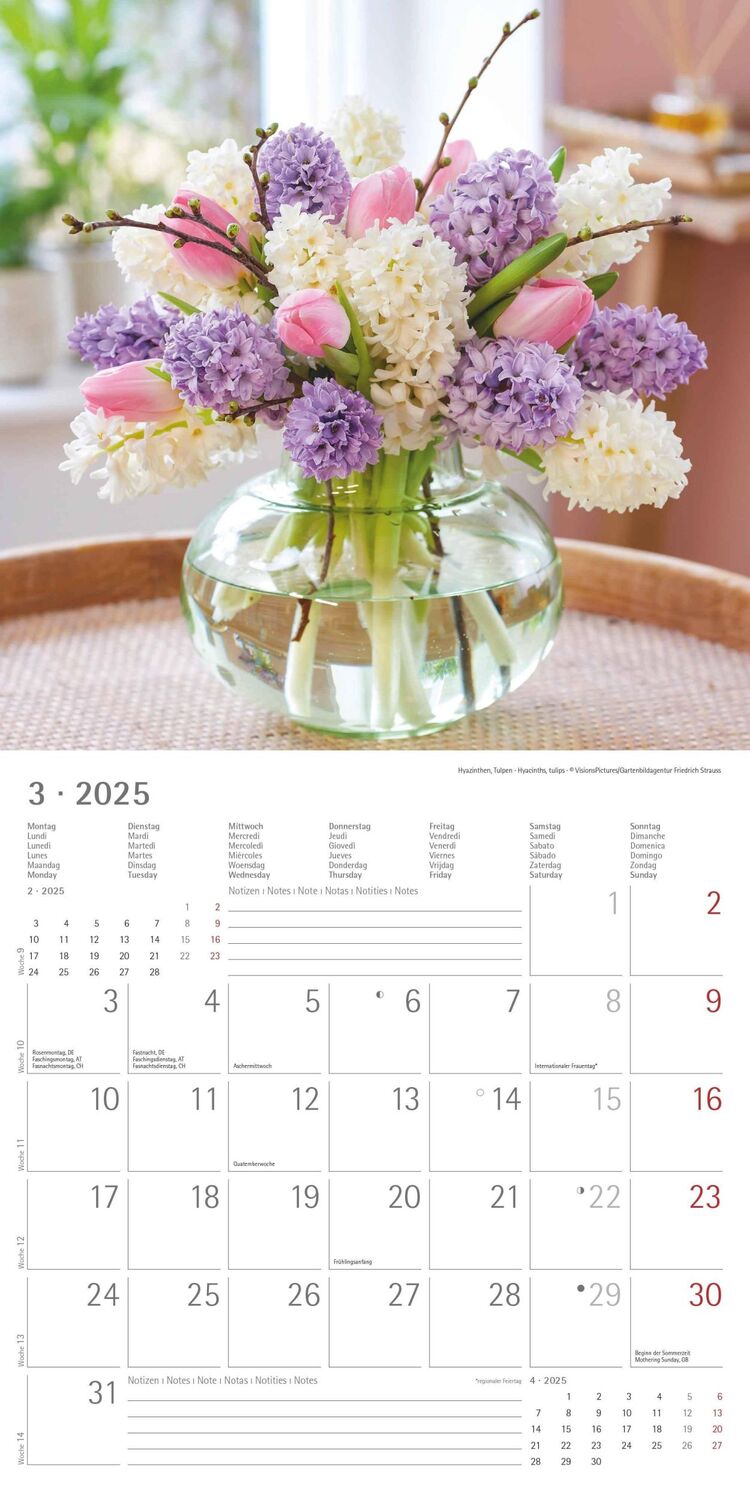 Bild: 4251732340612 | Blumen 2025 - Broschürenkalender 30x30 cm (30x60 geöffnet) -...