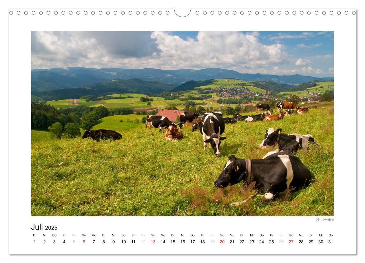 Bild: 9783435817924 | Schwarzwald 2025 (Wandkalender 2025 DIN A3 quer), CALVENDO...