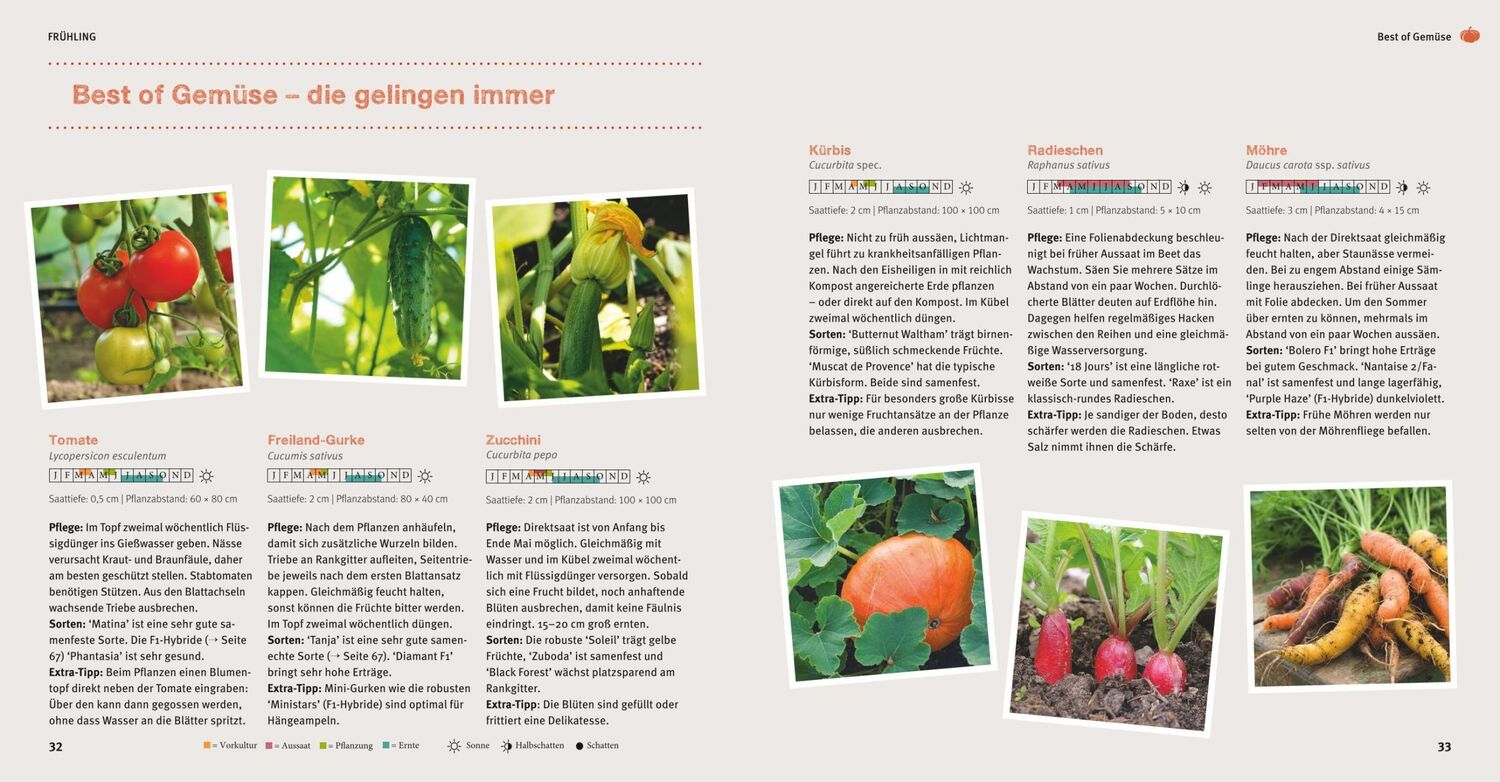 Bild: 9783833829079 | Garten Basics - Gärtnern für Anfänger | Mascha Schacht | Taschenbuch