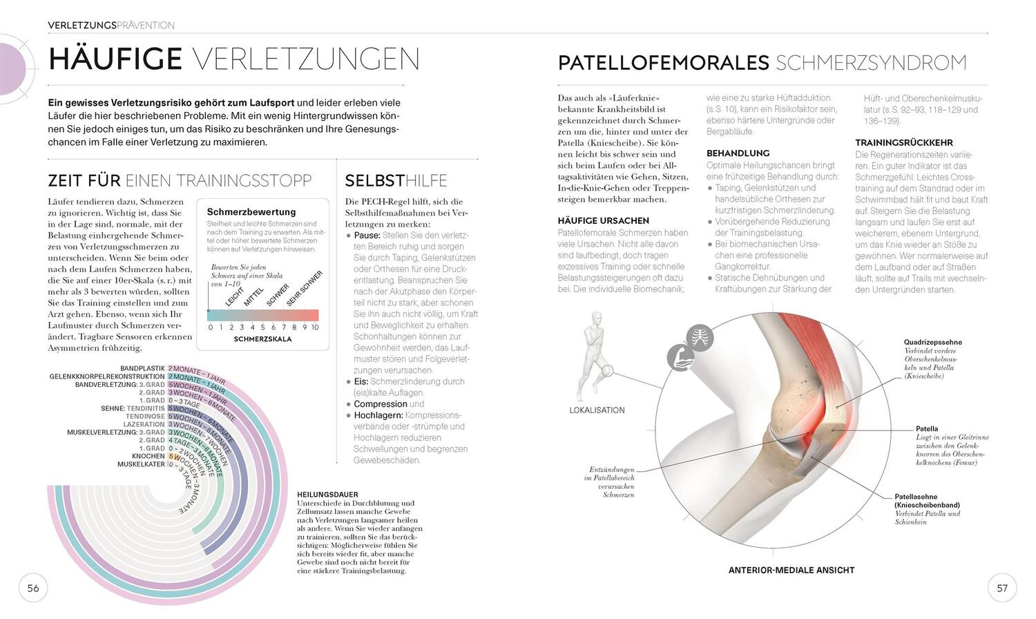 Bild: 9783831040155 | Lauftraining - Die Anatomie verstehen | Chris Napier | Taschenbuch