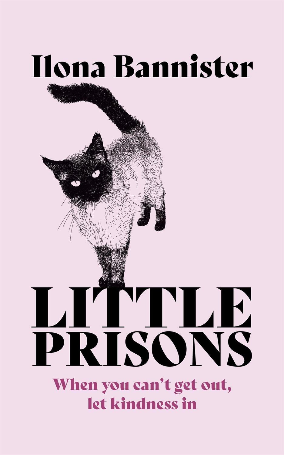 Cover: 9781529353907 | Little Prisons | Ilona Bannister | Buch | Gebunden | Englisch | 2022