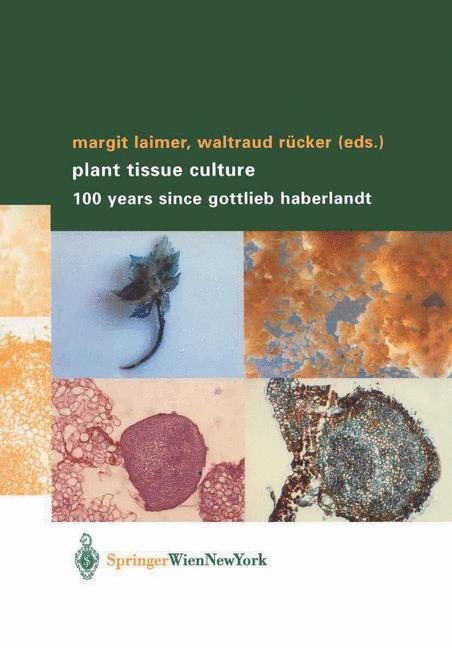 Cover: 9783211838396 | Plant Tissue Culture | 100 years since Gottlieb Haberlandt | Buch