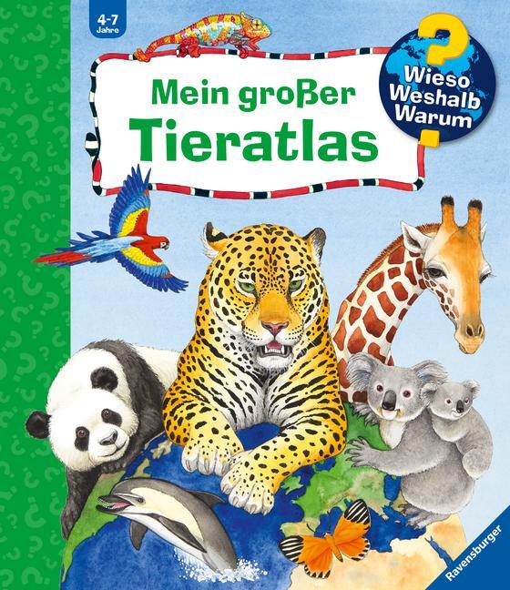 Cover: 9783473326013 | Wieso? Weshalb? Warum? Mein großer Tieratlas | Andrea Erne | Buch