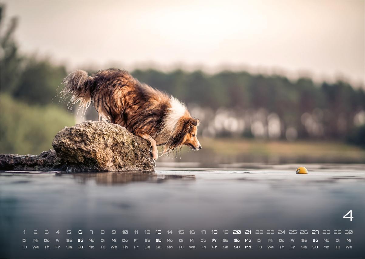 Bild: 9783986733919 | Wuff - Unsere Vierbeiner - Der Hundekalender- 2025 - Kalender DIN A3