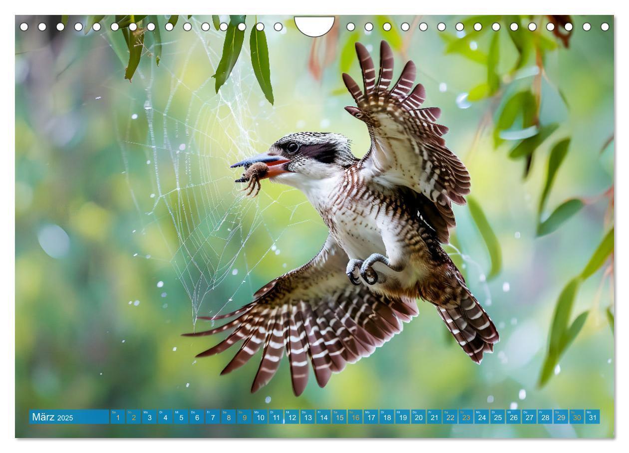 Bild: 9783383777875 | Der Kookaburra - Im australischen Busch mit dem lachenden Hans...