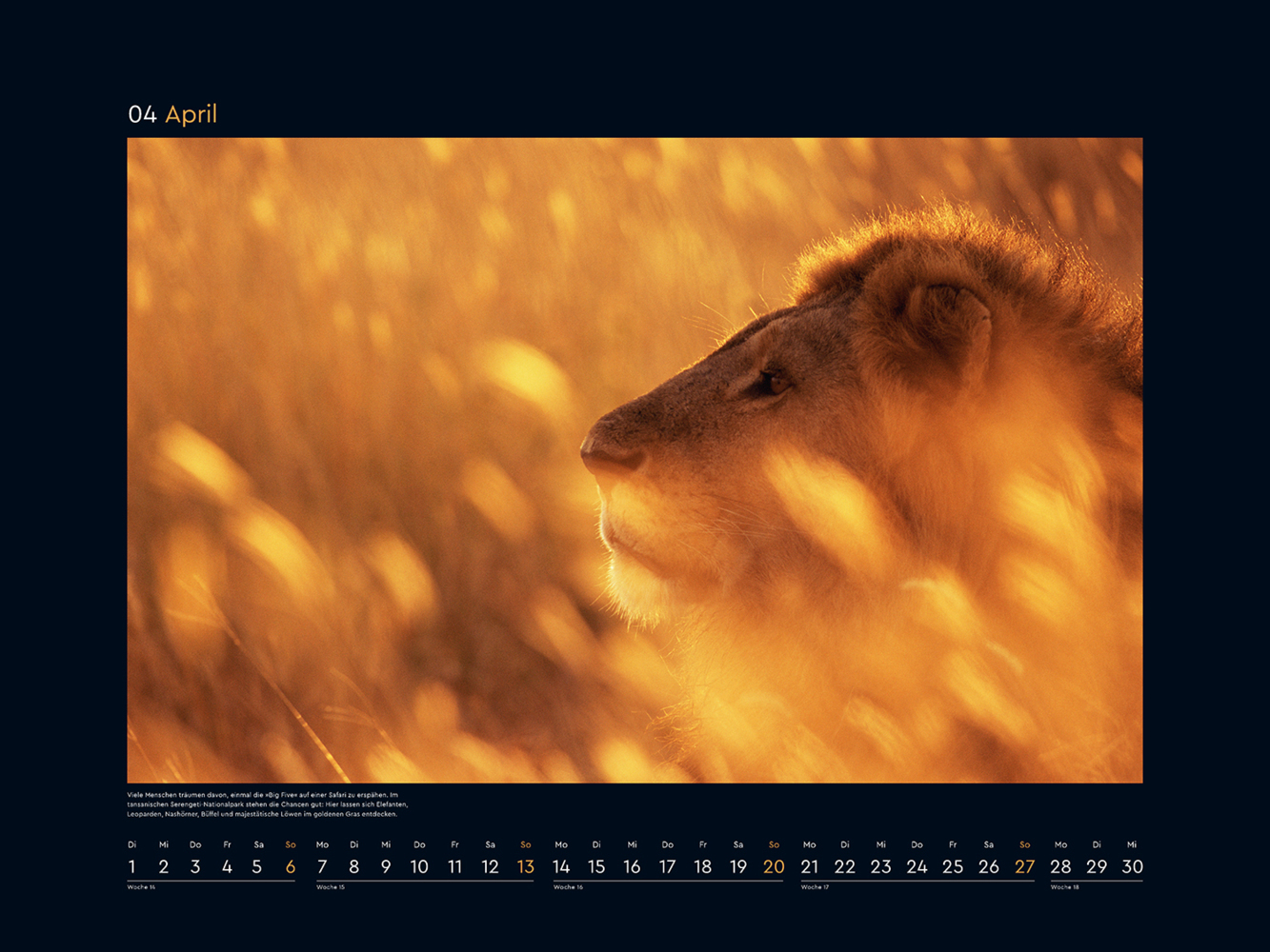 Bild: 9783965913677 | Gold - KUNTH Wandkalender 2025 | Kalender | 14 S. | Deutsch | 2025