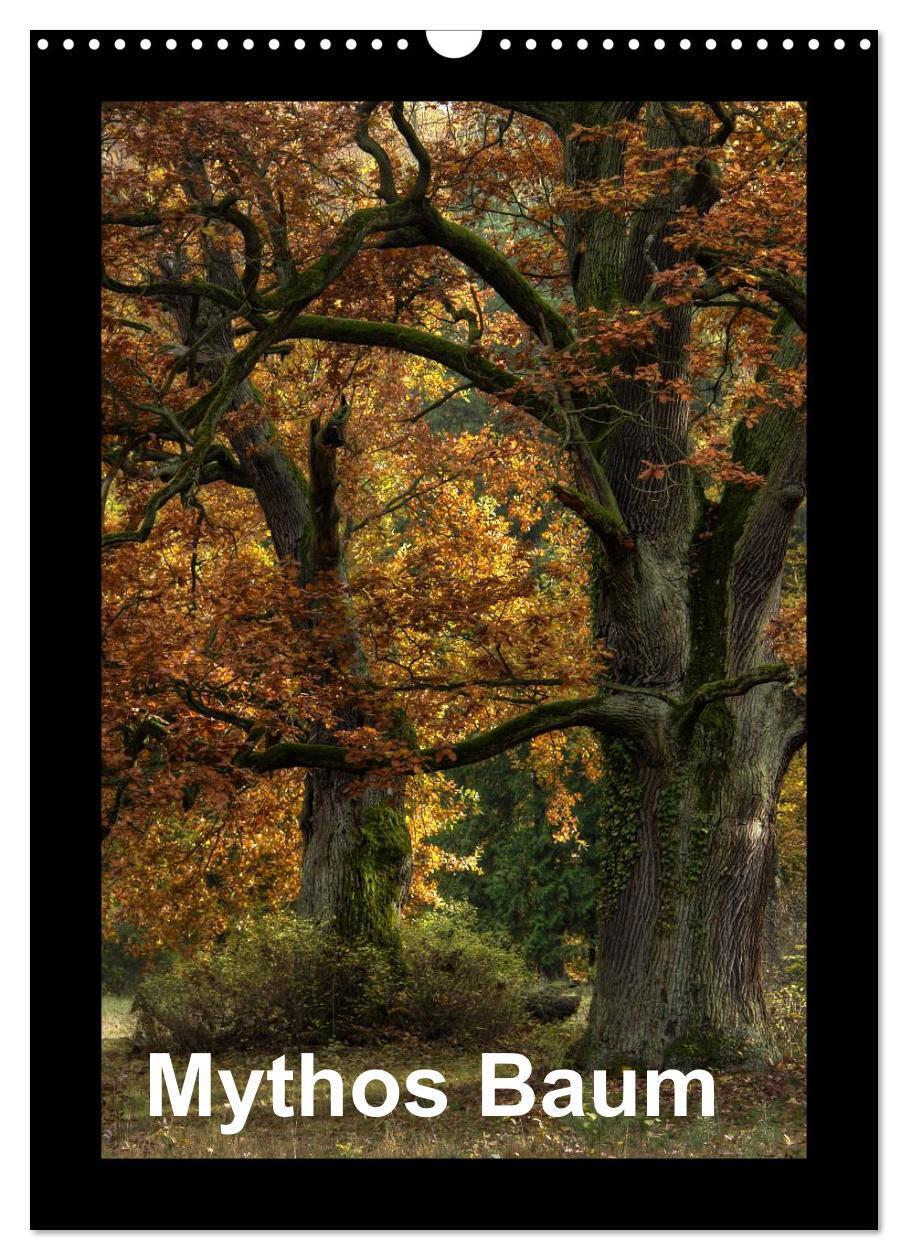 Cover: 9783675481022 | Mythos Baum / 2024 (Wandkalender 2024 DIN A3 hoch), CALVENDO...