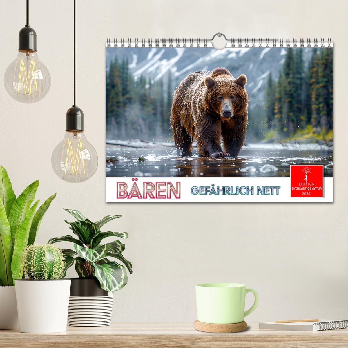 Bild: 9783457170434 | Bären - gefährlich nett (Wandkalender 2025 DIN A4 quer), CALVENDO...