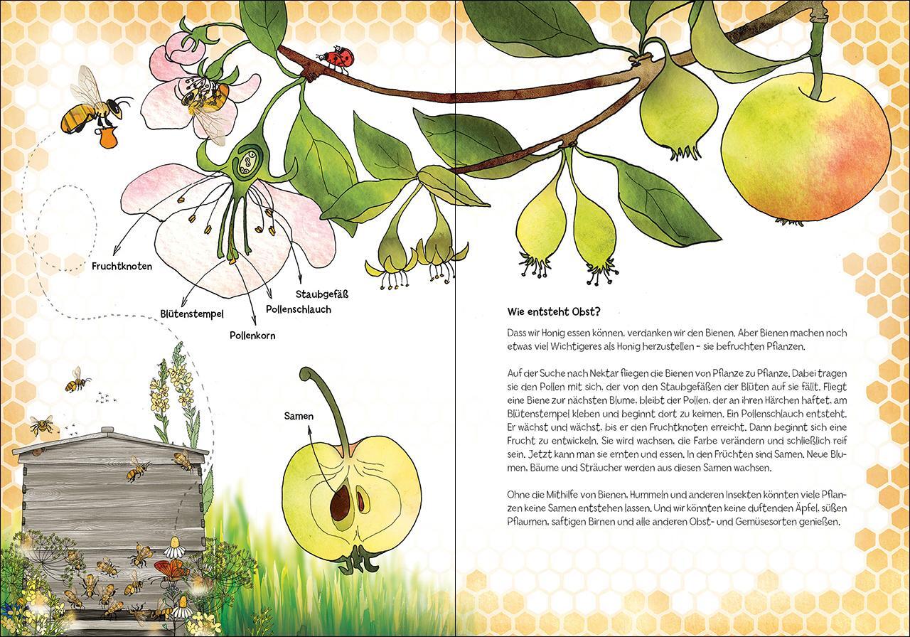 Bild: 9783743214514 | Viel los bei den Bienen! | Katarzyna Bajerowicz | Buch | Naturkind