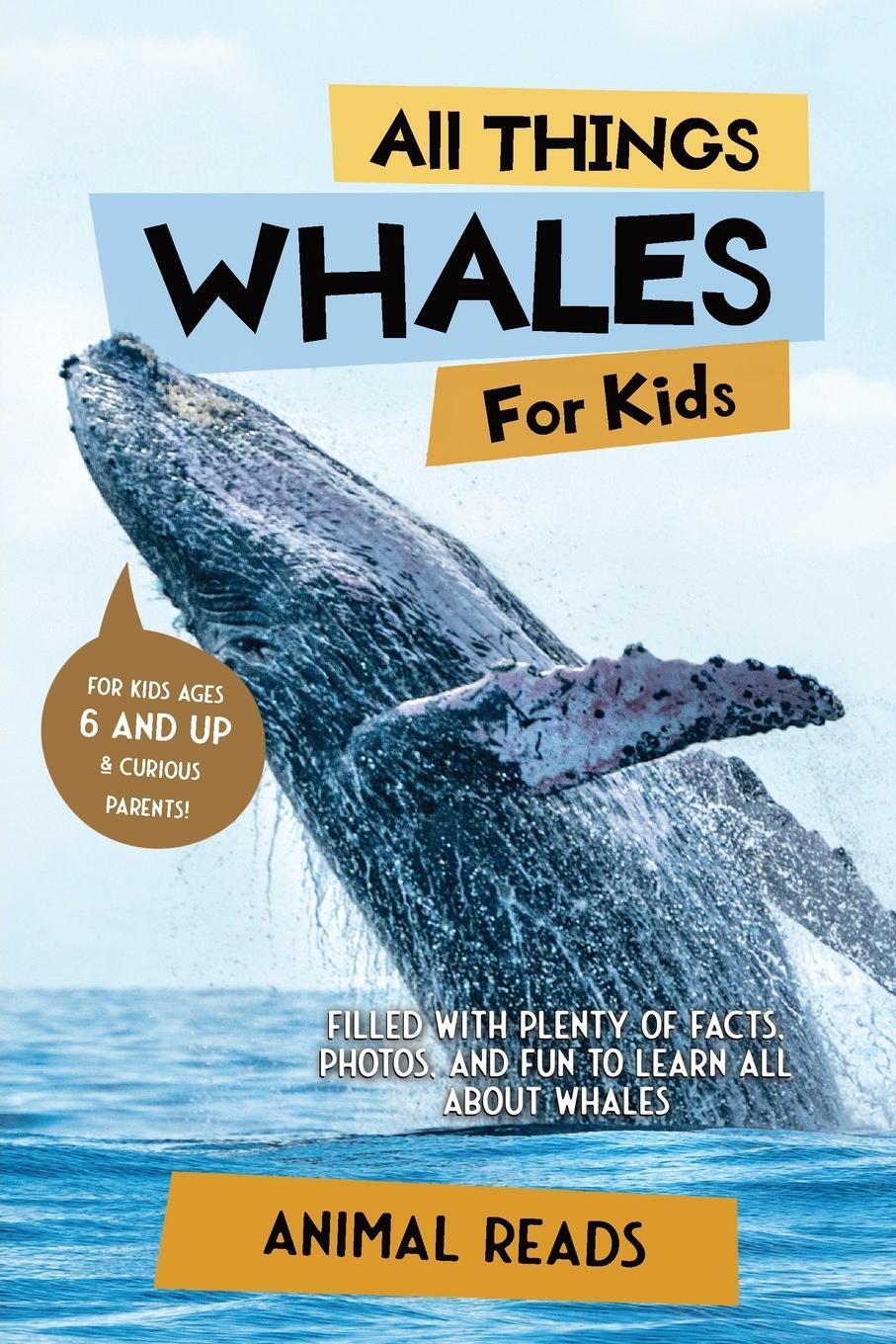 Cover: 9783967721317 | All Things Whales For Kids | Animal Reads | Taschenbuch | Paperback