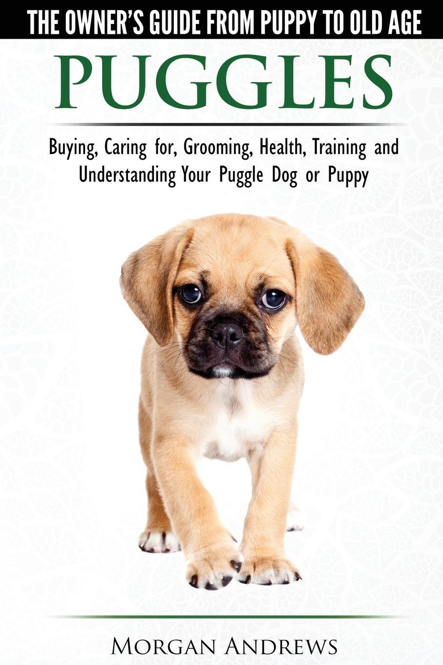 Cover: 9781910677032 | Puggles - The Owner's Guide from Puppy to Old Age - Choosing,...