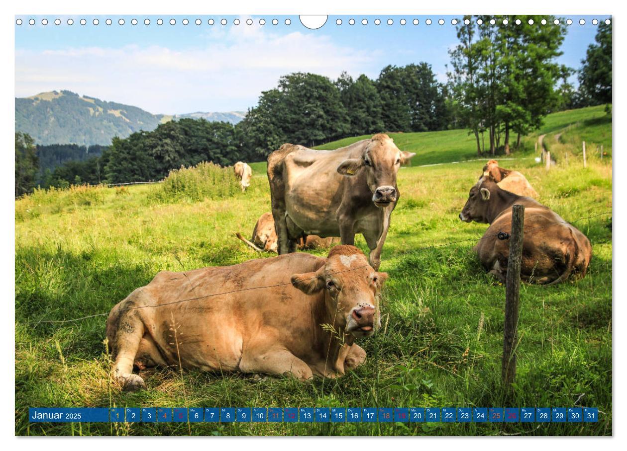 Bild: 9783435192434 | Allgäu - Perle im Süden (Wandkalender 2025 DIN A3 quer), CALVENDO...