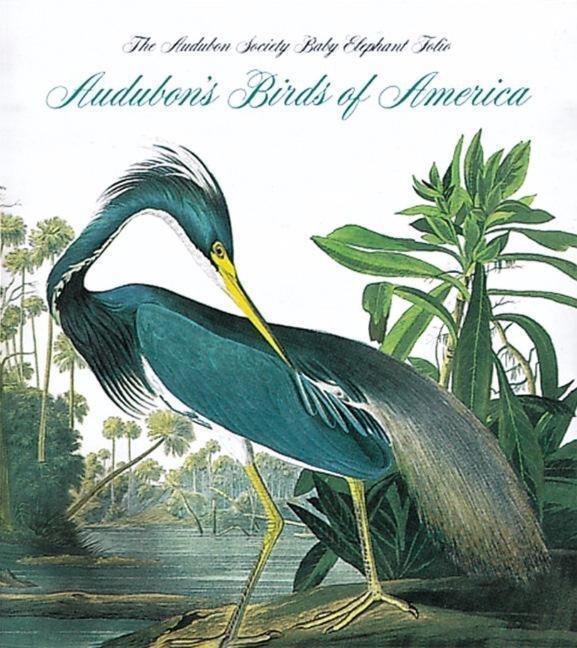 Cover: 9780789208149 | Audubon's Birds of America: The National Audubon Society Baby...