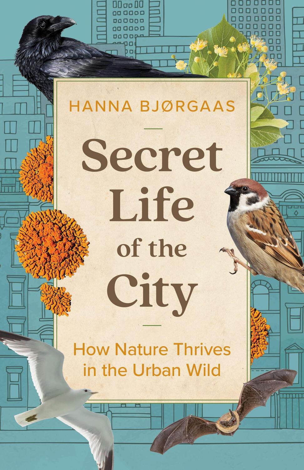 Cover: 9781771649353 | Secret Life of the City | How Nature Thrives in the Urban Wild | Buch