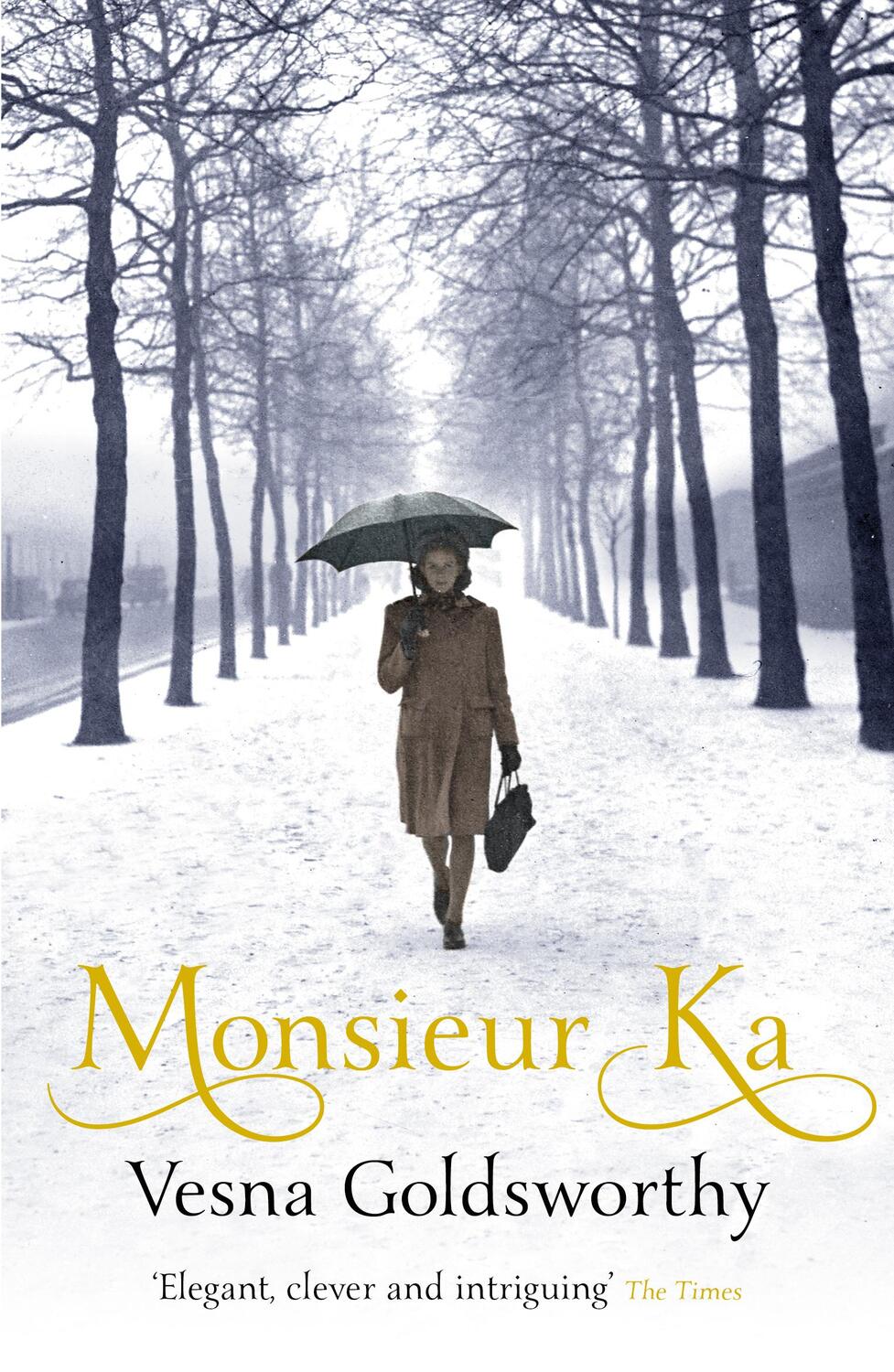 Cover: 9781784704520 | Monsieur Ka | Vesna Goldsworthy | Taschenbuch | Englisch | 2019