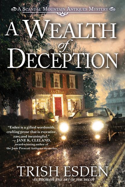 Cover: 9781639102549 | A Wealth of Deception | Trish Esden | Buch | Englisch | 2023