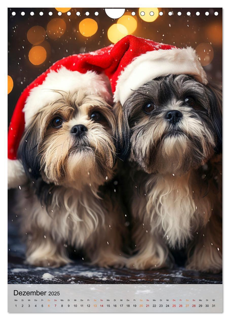 Bild: 9783383765315 | Shih Tzu - immer im Mittelpunkt (Wandkalender 2025 DIN A4 hoch),...