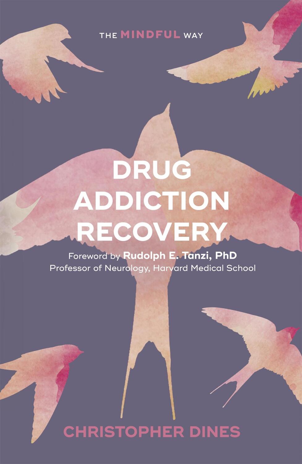 Cover: 9781847094940 | Drug Addiction Recovery: The Mindful Way | Christopher Dines | Buch