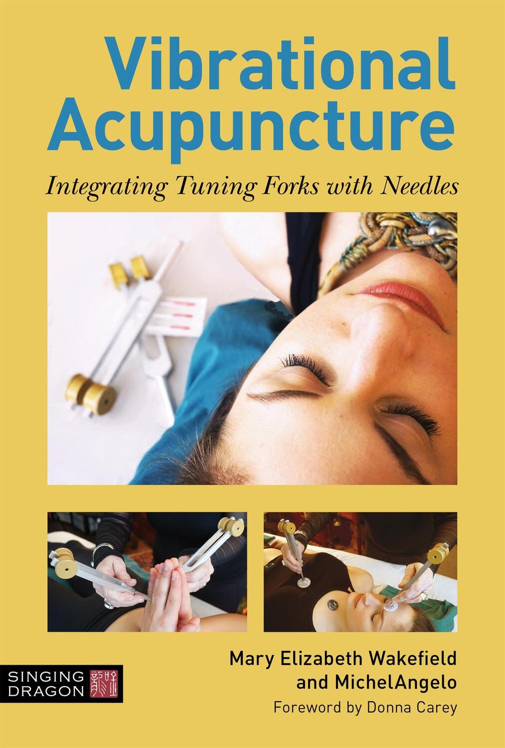 Cover: 9781848193437 | Vibrational Acupuncture | Integrating Tuning Forks with Needles | Buch