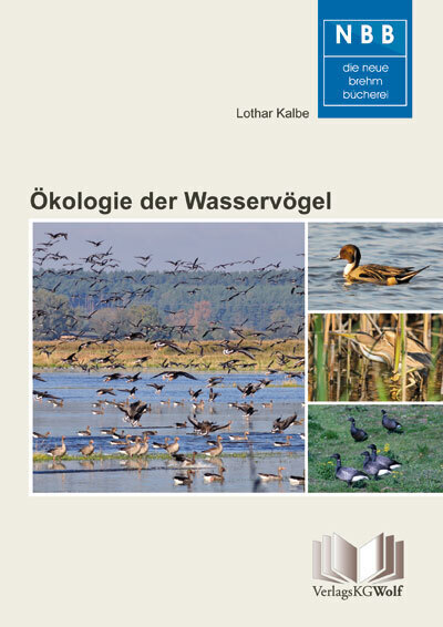 Cover: 9783894322748 | Ökologie der Wasservögel | Einführung in die Limnoornithologie | Kalbe