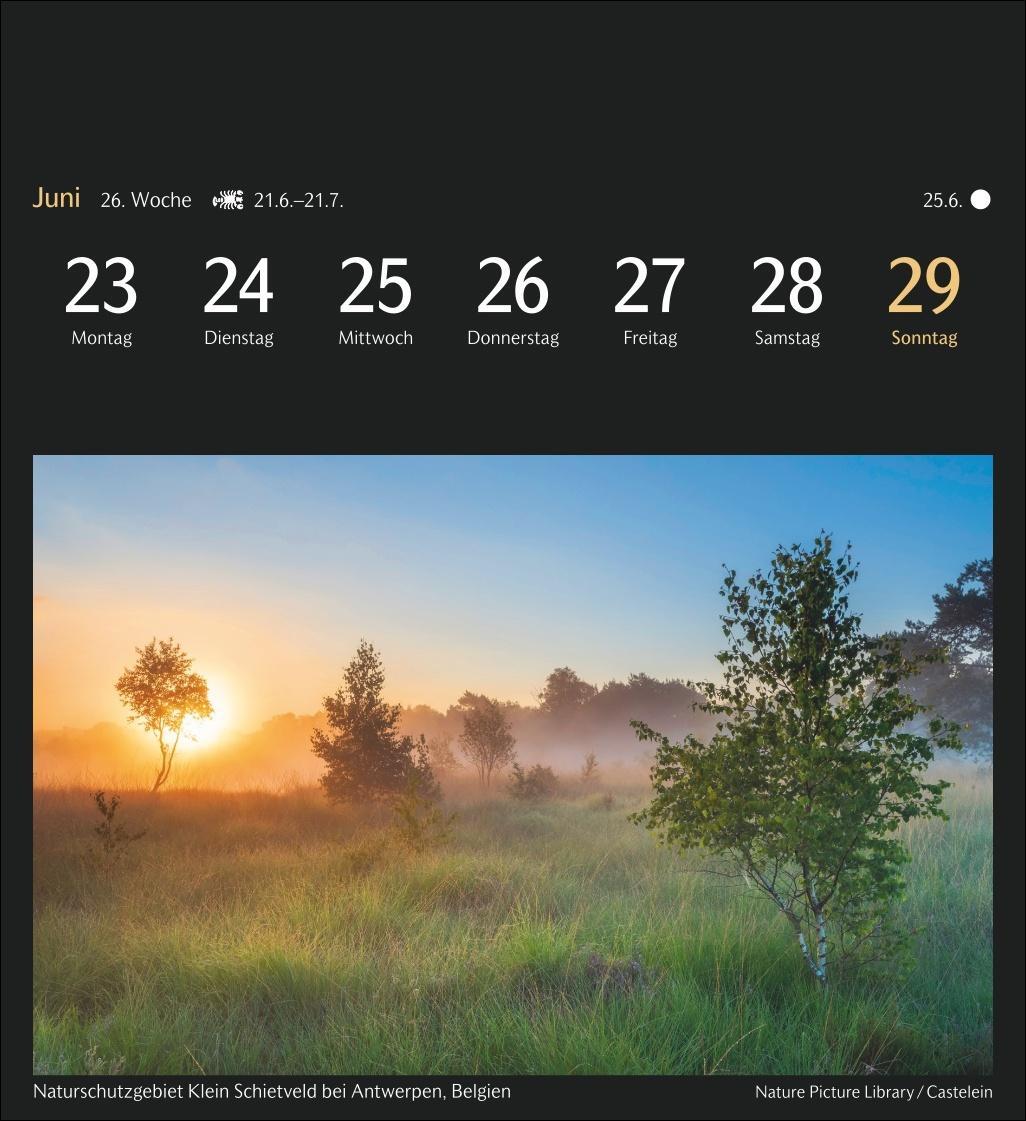 Bild: 9783840035111 | Magic Nature Postkartenkalender Kalender 2025 - Kalender mit 53...