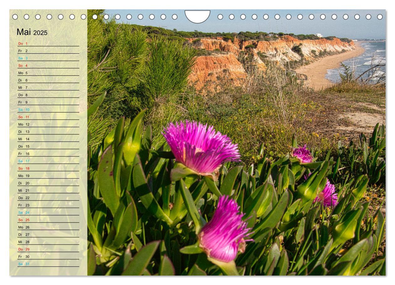 Bild: 9783435092338 | Die Küste der Algarve (Wandkalender 2025 DIN A4 quer), CALVENDO...