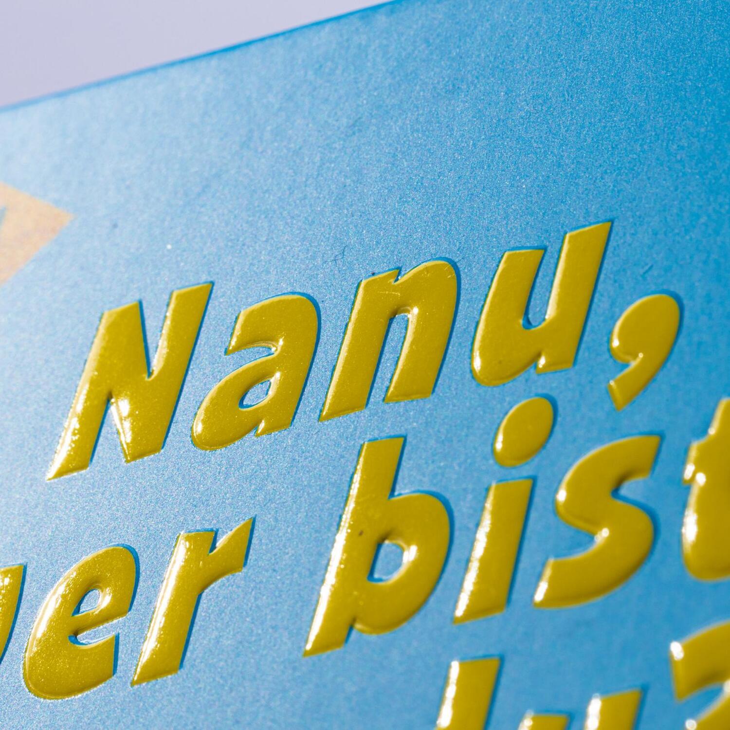 Bild: 9783551173003 | Nanu, wer bist denn du? Du gehörst dazu! | Anni Demel | Buch | 12 S.