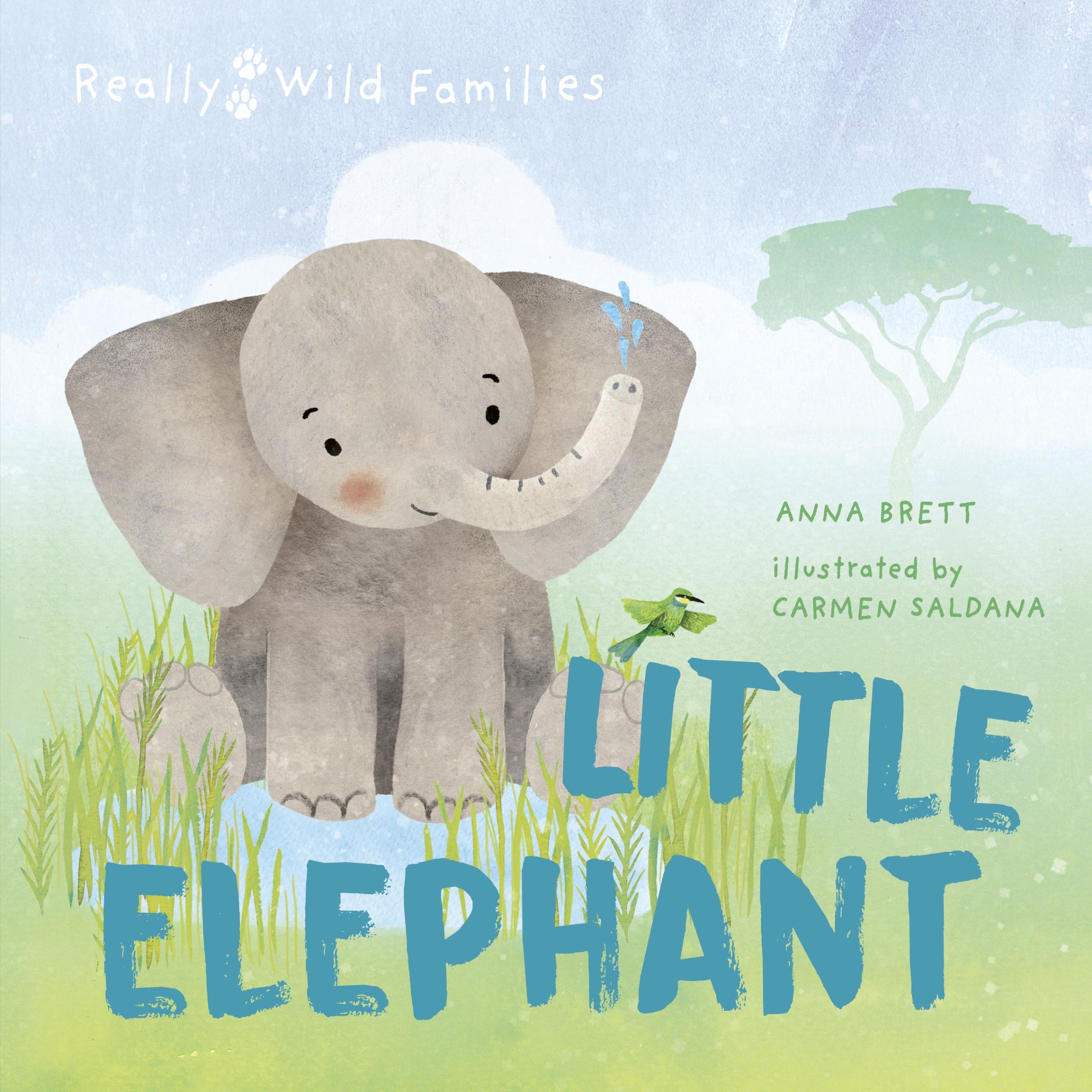 Cover: 9780711274112 | Little Elephant | A Day in the Life of a Elephant Calf | Anna Brett