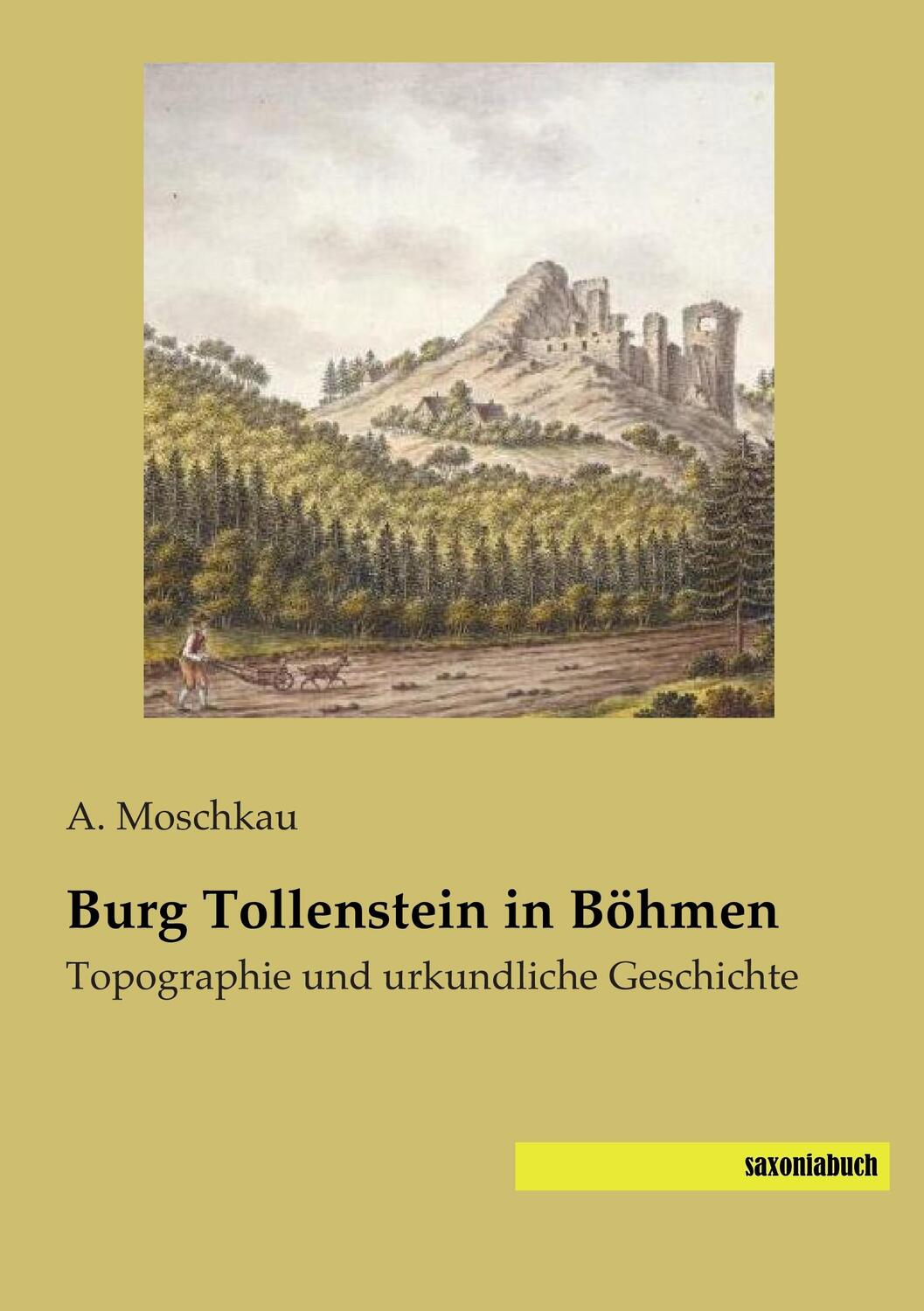 Cover: 9783957703545 | Burg Tollenstein in Böhmen | Topographie und urkundliche Geschichte