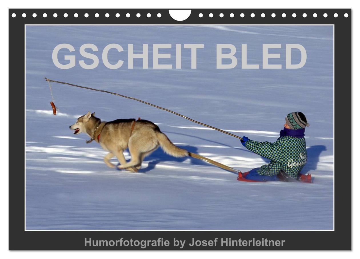 Cover: 9783435612123 | GSCHEIT BLED - Humorfotografie (Wandkalender 2025 DIN A4 quer),...