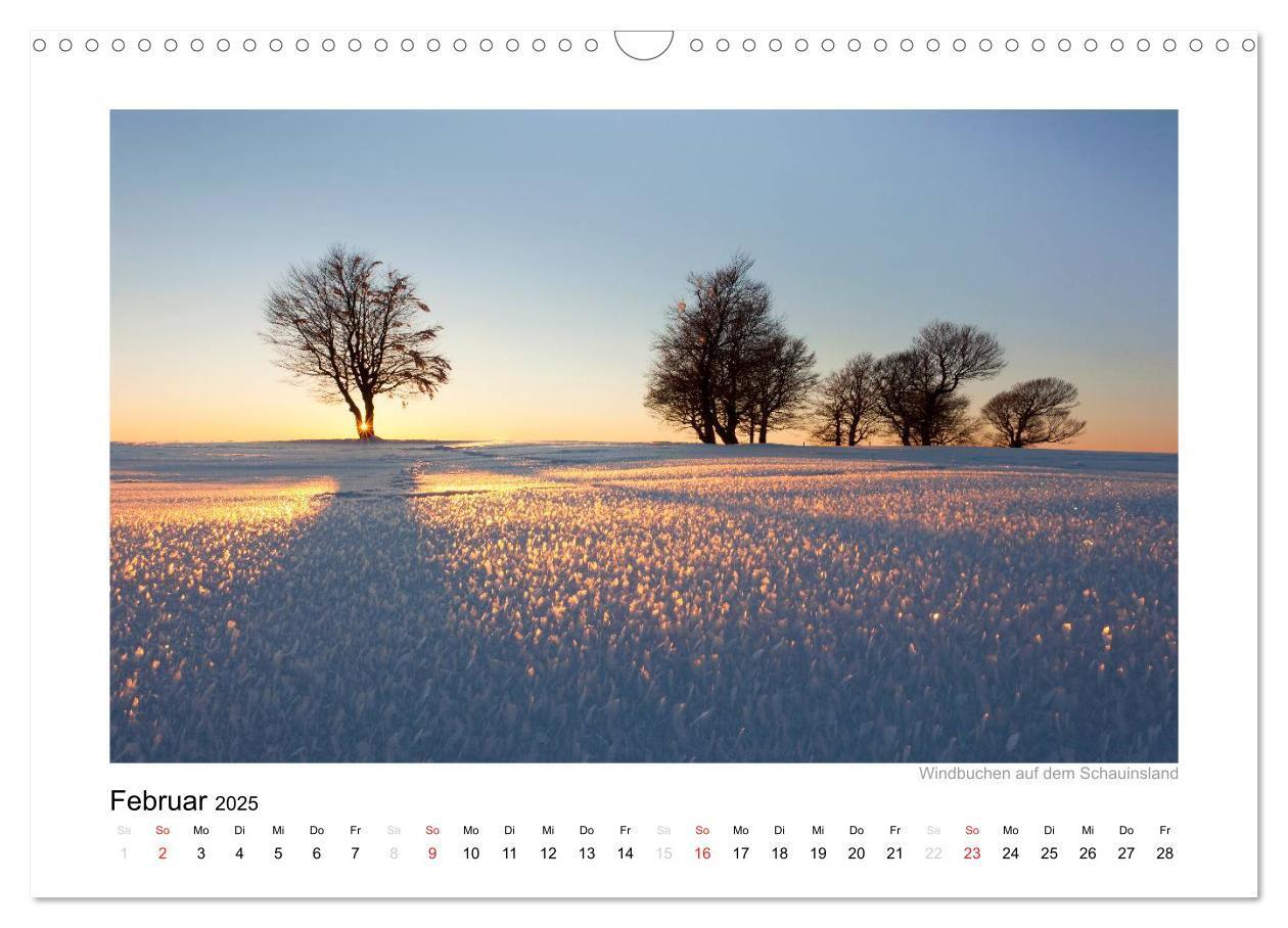 Bild: 9783435817924 | Schwarzwald 2025 (Wandkalender 2025 DIN A3 quer), CALVENDO...