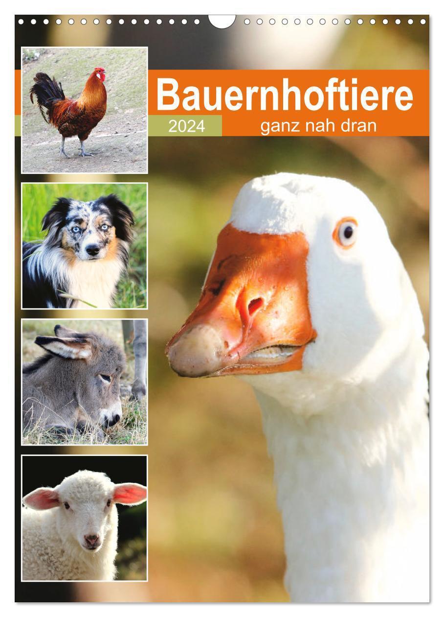 Cover: 9783675510036 | Bauernhoftiere, ganz nah dran (Wandkalender 2024 DIN A3 hoch),...