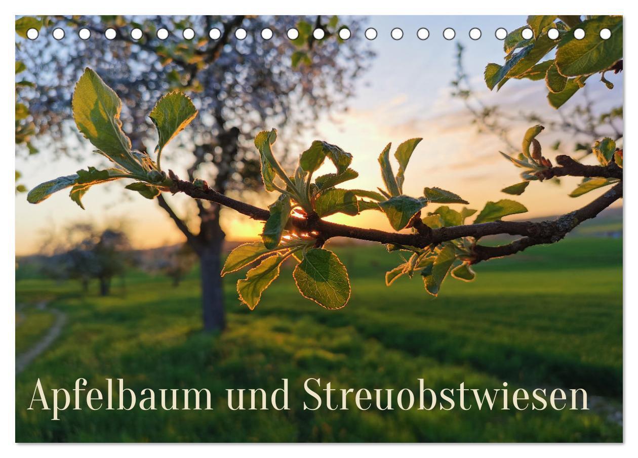 Cover: 9783675796492 | Apfelbaum und Streuobstwiesen (Tischkalender 2024 DIN A5 quer),...
