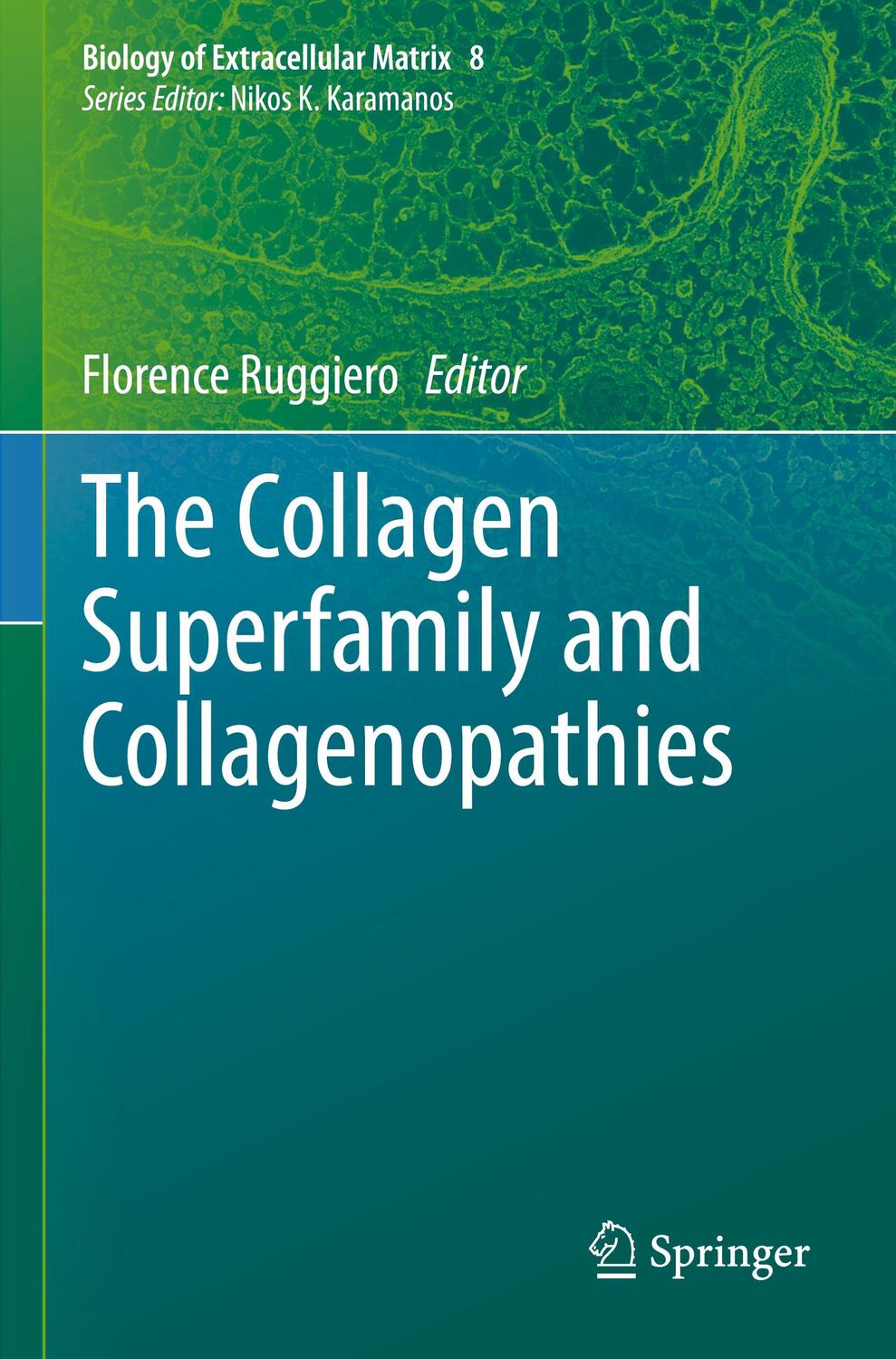 Cover: 9783030675943 | The Collagen Superfamily and Collagenopathies | Florence Ruggiero | ix