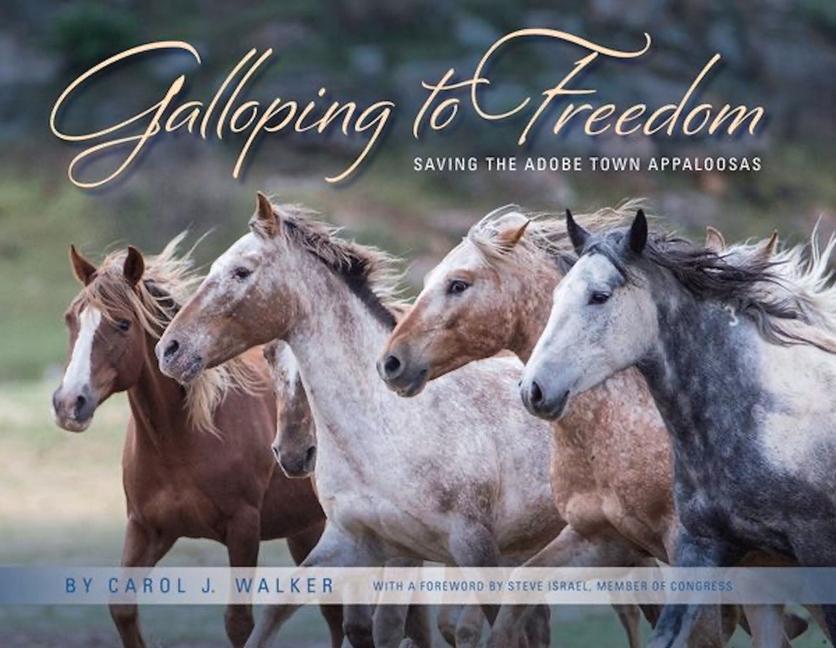 Cover: 9781953652874 | Galloping to Freedom: Saving the Adobe Town Appaloosas | Buch | 2021