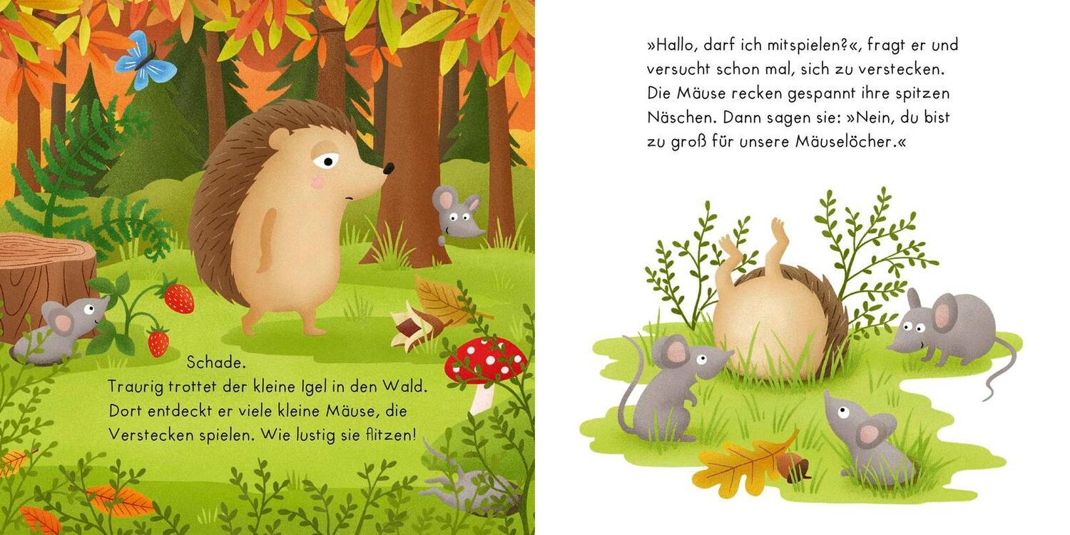 Bild: 9783737357678 | Igelchen findet Freunde | Sandra Grimm | Buch | 16 S. | Deutsch | 2022