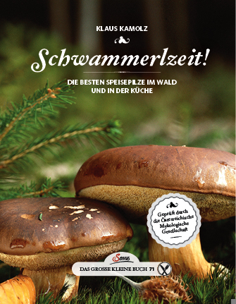 Cover: 9783710401572 | Schwammerlzeit! | Die besten Speisepilze im Wald und in der Küche