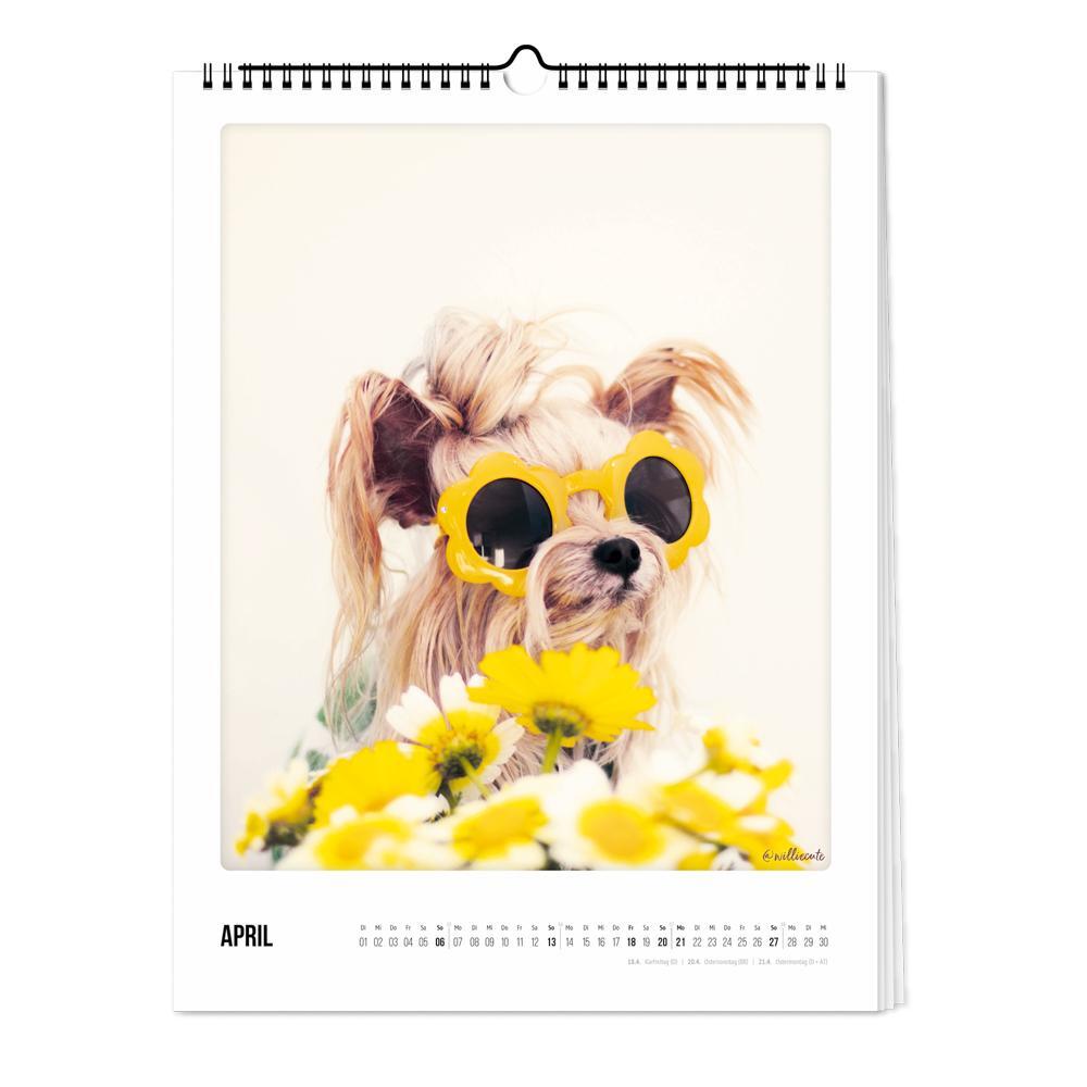 Bild: 4251781179249 | Wandkalender 2025 - Bunter Hund | Pickmotion | Kalender | Deutsch