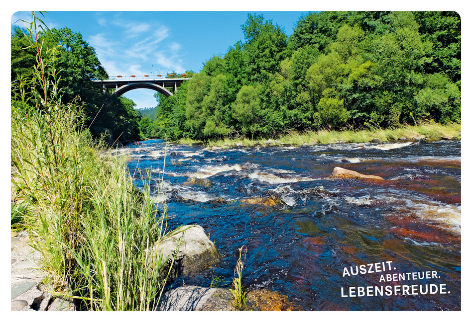 Bild: 9783770180783 | 52 kleine &amp; große Eskapaden im Schwarzwald | Ab nach draußen! | Weik